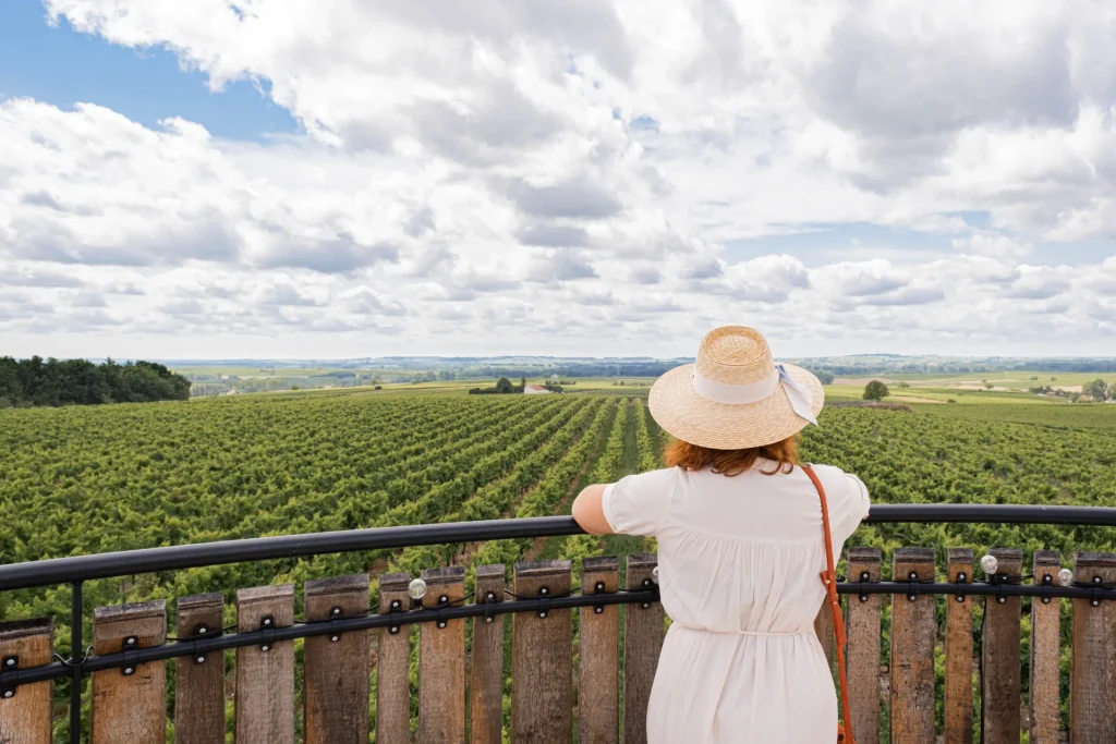 Vue du vignoble Maison Boinaud