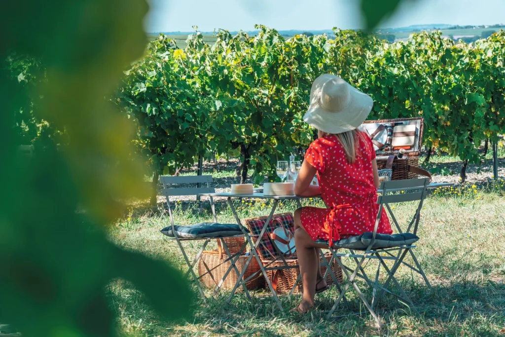 Un spot à l'ombre pour un pique-nique en amoureux dans les vignes avec l'agence XO Madame