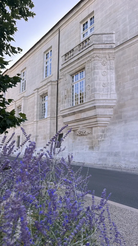 Fenêtre sur la façade du château de Cognac avec l'emblème de François 1er la salamandre