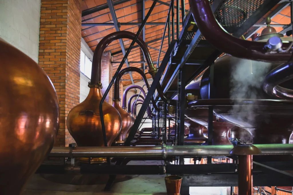 Distillerie de la Maison de Cognac Tiffon Braastad à Jarnac, alambics, cols de cygne en cuivre