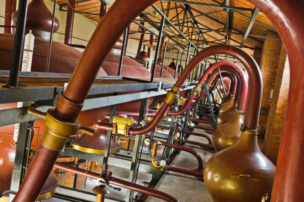 Distillerie de la Maison de Cognac Tiffon Braastad à Jarnac, alambics, cols de cygne en cuivre