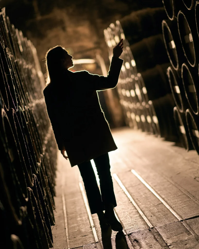 Guided tour of an ageing cellar for cognac eaux-de-vie, an array of casks, barrels and barrels at the Château de Cognac and the Baron Otard and d'Ussé cognac estates