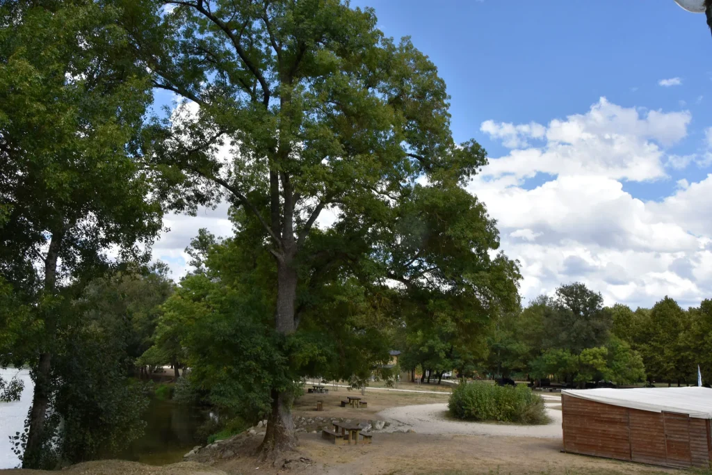 Picnic tables at Bain des Dames in Châteauneuf-sur-Charente on the banks of the Charente river