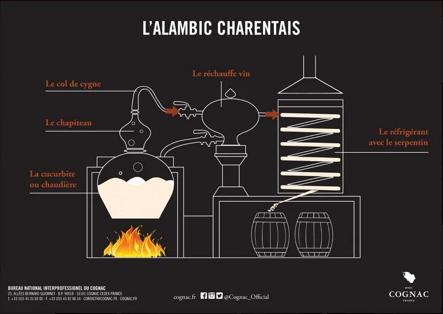 Cognac distillation diagram, Charentais alembic, swan neck, hood, pot or boiler, wine heater, coil
