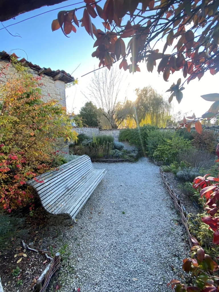 Le jardin des senteurs dans le village de Lignières à l'automne, banc le long d'une allée bordée massifs de plantes médicinales avec en arrière un saule pleureur avec un rayon de soleil
