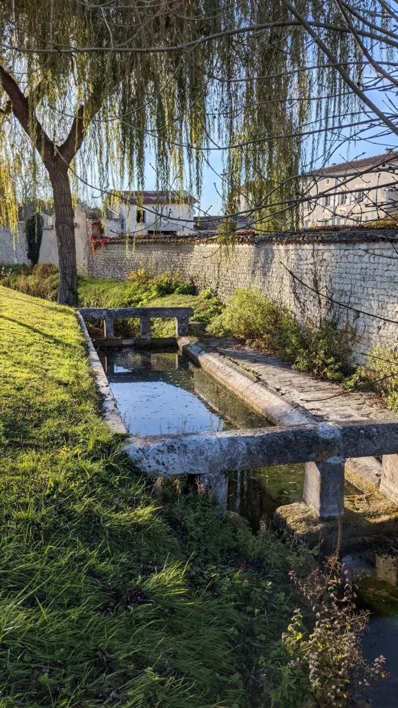 Fontaine dans le village de Lignières-Ambleville avec un saule pleureur en arrière plan