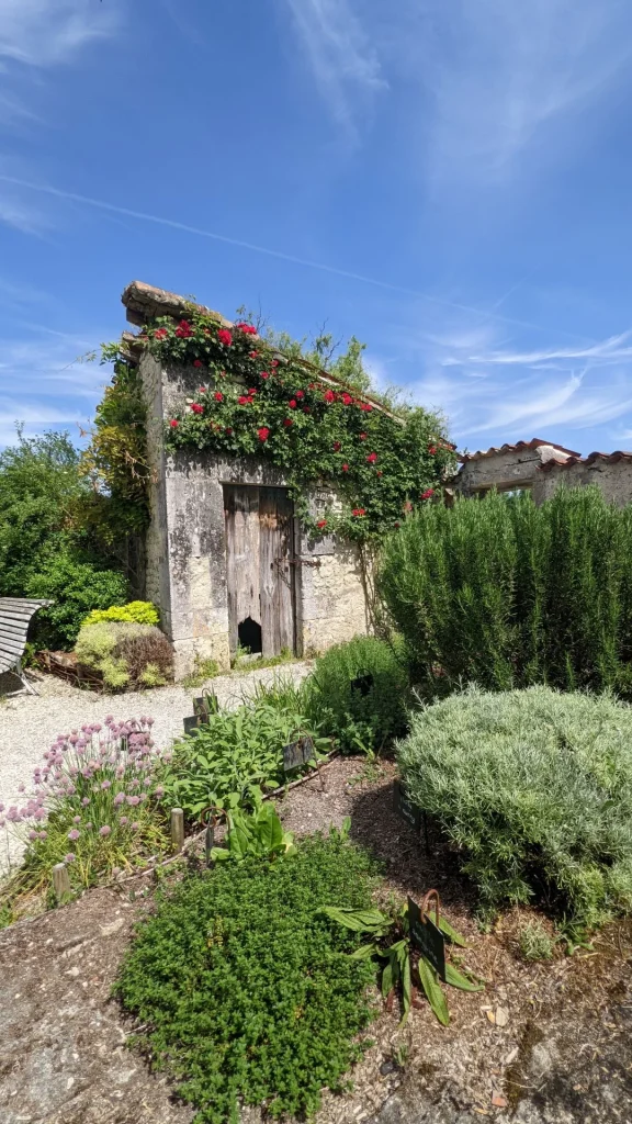 Le jardin des senteurs à Lignières Ambleville entre le château et l'église de Lignières, ciboulette, romarin, sauge, lavande, petit cabanon avec un rosier grimpant rouge