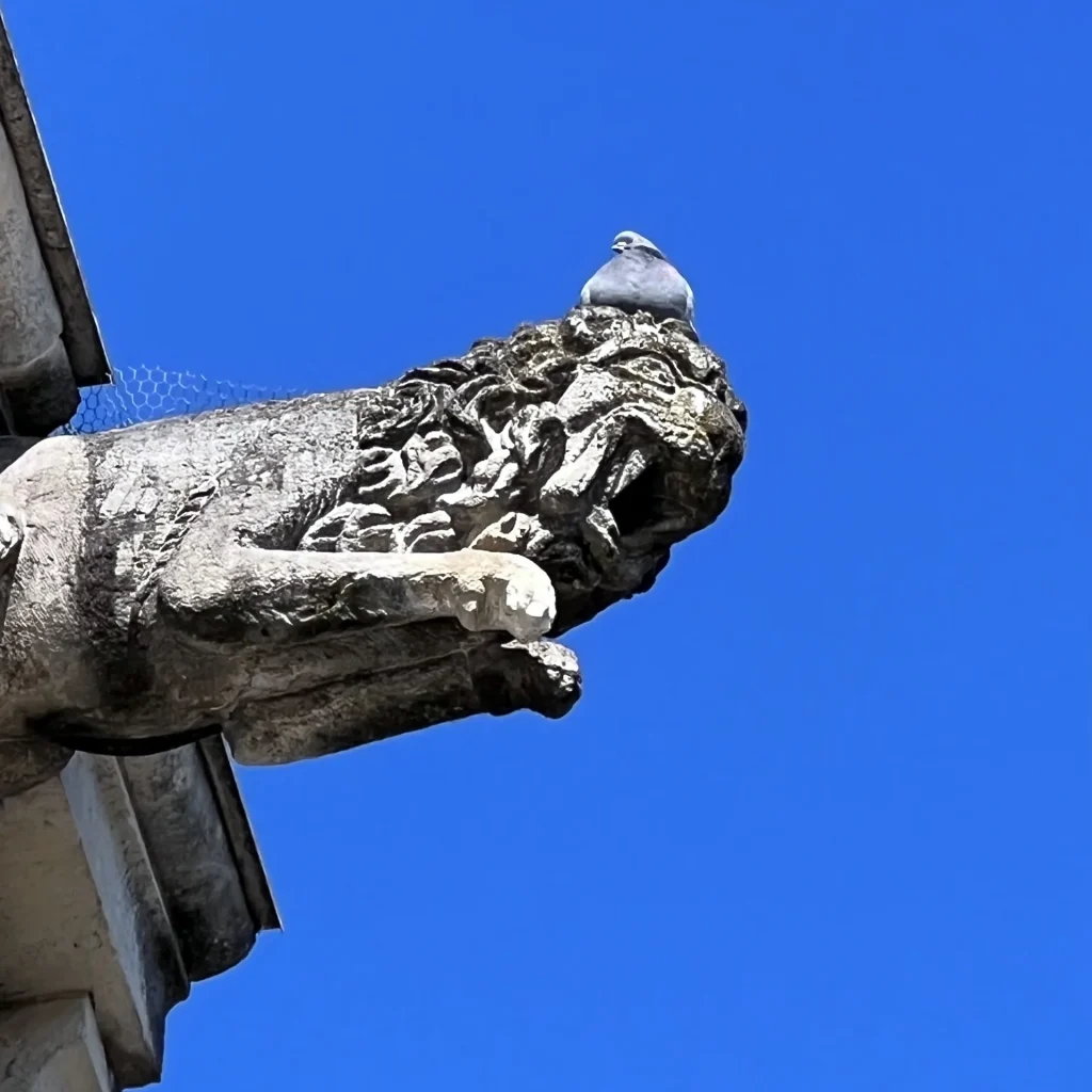 gargouille de l'hôtel Brunet du bocage rue Saulnier à Cognac