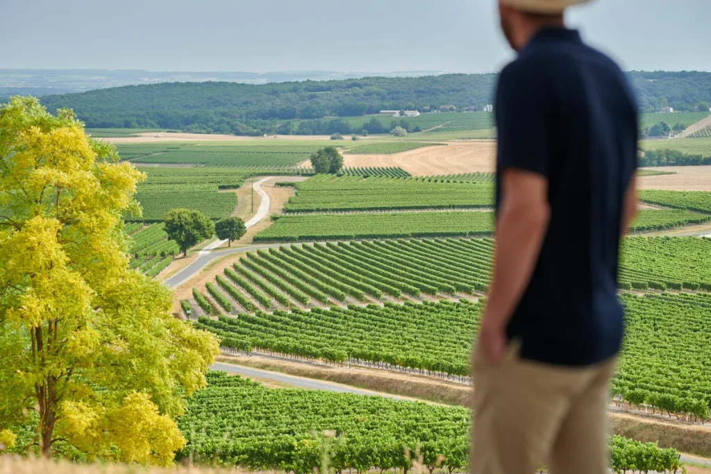 Contemplating the vineyards