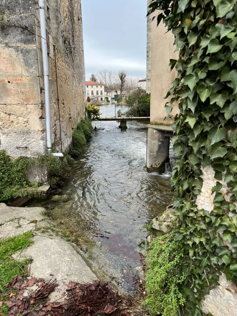 le Romède, un affluent de la Charente à Bourg-Charente