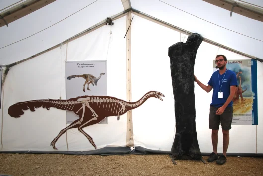 Visite guidée des fouilles du site paléontologique d'Angeac Charente le guide à côté d'un fémur de sauropode et un dessin de squelette d'ornithomimosaure en taille réelle