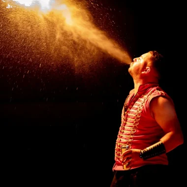 La fabuleuse histoire du cognac, spectacle son et lumière à bourg-charente