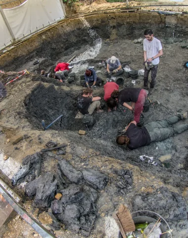 Visit the palaeontological site at Angeac-Charente, in search of dinosaur fossils