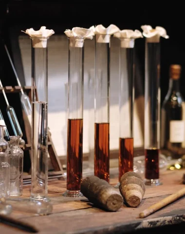 Éprouvettes remplies d'eau-de-vie de cognac et alcoomètres dans un chai de vieillissement à Segonzac