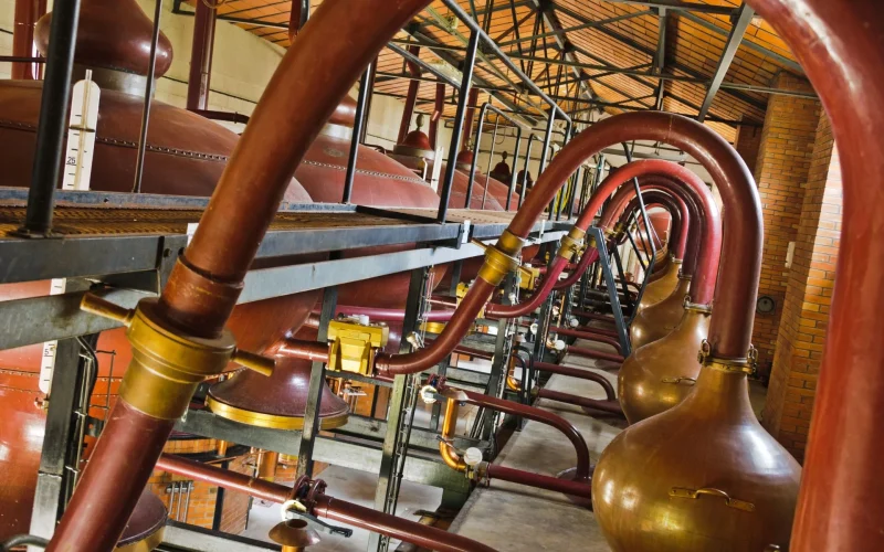 Distillerie de la Maison de Cognac Tiffon Braastad à Jarnac, alambics, cols de cygne en cuivre