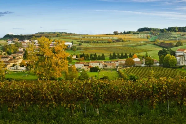 Bouteville, village de Grande Champagne en Charente, vue sur le vignoble en automne avec l'église et le château