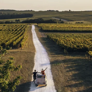 Vue aérienne d'une escapade en amoureux dans le vignoble de cognac en deux chevaux en été.