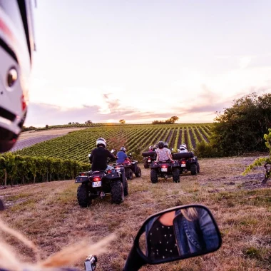 Virée en groupe quad dans le vignoble