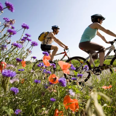 cycling in the Charente countryside