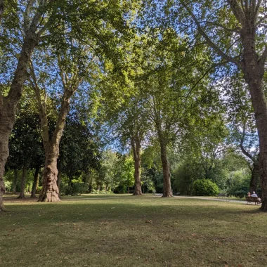 Panoramic view of Jarnac's public gardens and tall plane trees