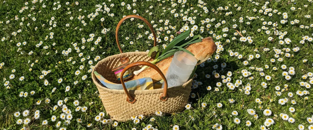 Spring atmosphere, picnic basket on the daisy flowered grass