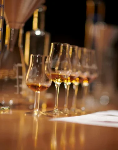 verre tulipe idéal pour la dégustation du cognac