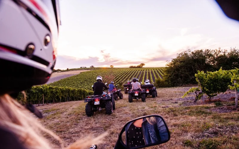 Quad tour of the vineyards