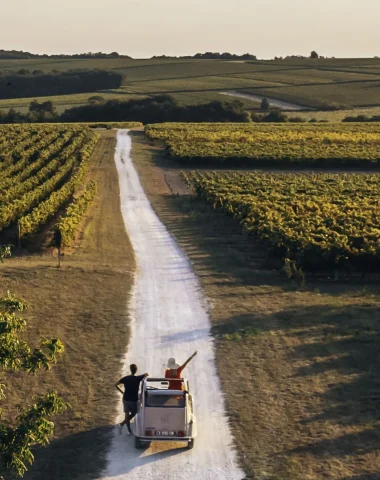 Aerial view of a romantic getaway in the Cognac vineyards on two horse-tax car in summer.