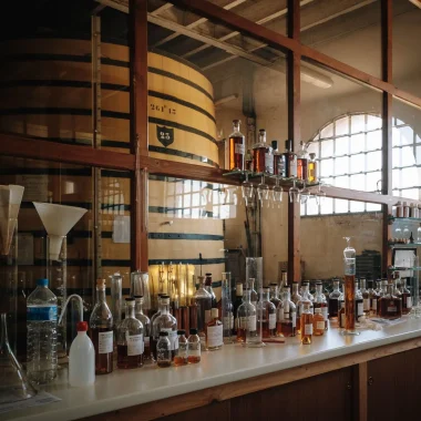 Tour of the cognac cellars, laboratory and tasting workshop at the Braastad cognac house in Jarnac