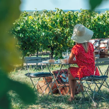 A spot in the shade for a romantic picnic in the vineyards with the XO Madame agency