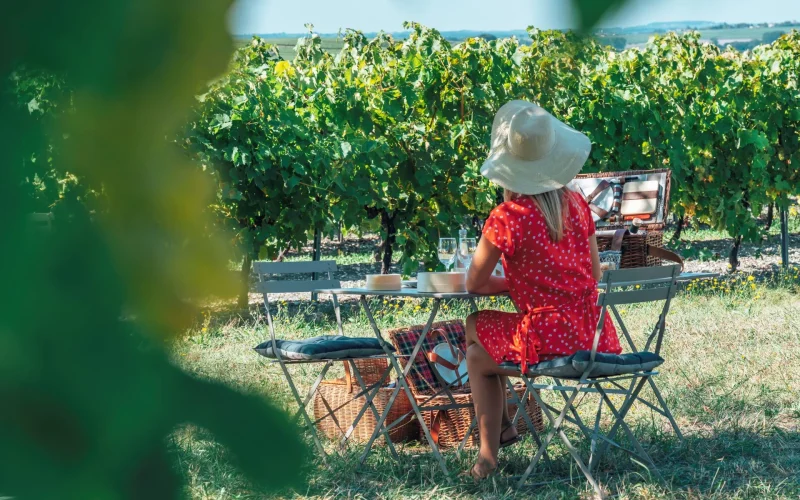 A spot in the shade for a romantic picnic in the vineyards with the XO Madame agency