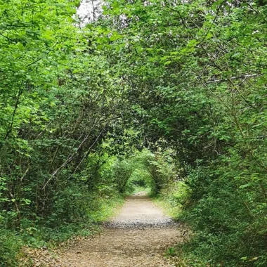 Sentier dans le parc François 1er un site naturel protégé à Cognac, ancienne forêt du chateau de Cognac